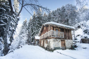Chalet F'net chalet de charme stylish cosy insolite